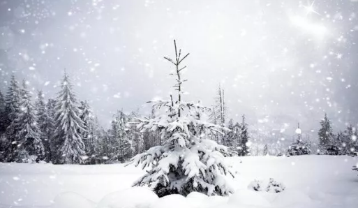 下雪的唯美短句