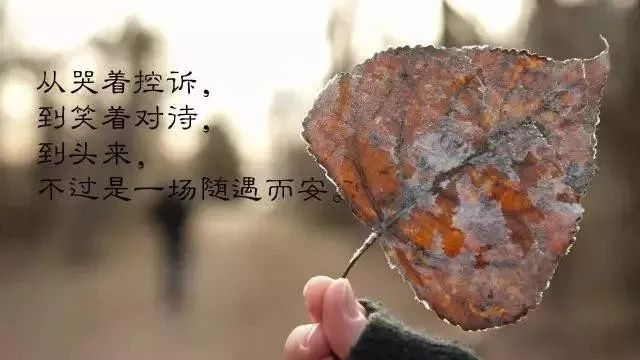 对一段感情失望的文案（精选77句）