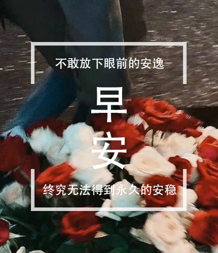 文案早上暖心问候（精选38句）