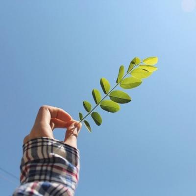 幽默损人的聊天句子（精选84句）